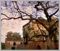Lodhi Garden